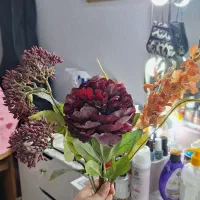 گل و گلدونش