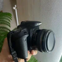 دوربین Canon EOS 77D|دوربین عکاسی و فیلم‌برداری|شیراز, شهرک برف فروشان|دیوار