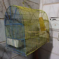 قفس سهره وقناری