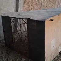 قفس|لوازم جانبی حیوانات|پارسآباد, |دیوار