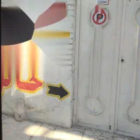 رنگ مو تخصصی
