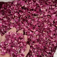 گل محمدی پر|گل و گیاه طبیعی|سقز, |دیوار