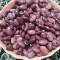 لوبیا قرمز