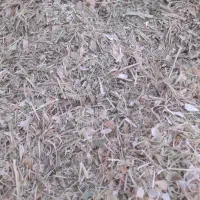 خرید فروش کاه لوبیا|عمدهفروشی|قیدار, |دیوار