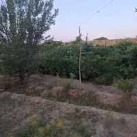 باغ با استخر و درختان مثمر