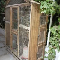عروس هلندی. مرغ عشق . فنچ با قفس|پرنده|فشاپویه, |دیوار