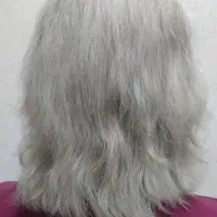 رنگ و لایت باتخفیف ویژه|خدمات آرایشگری و زیبایی|فولادشهر, B4|دیوار