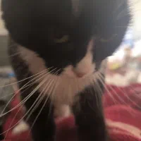 مژدگانی میلیونی میدهم