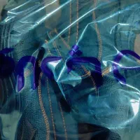 فروش کفش فولادپا(ایران پا) آکبند.سایز۴۲و۴۳.تو جعبه|کیف، کفش، کمربند|قم, صفائیه|دیوار