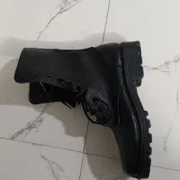 پوتین  نو