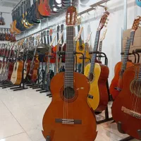 شهر گیتار شیراز|گیتار، بیس، امپلیفایر|شیراز, وصال|دیوار