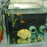 آکواریوم ۳۰ لیتری