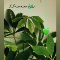 شریک خانم برای زدن سالن زیبایی محدوده توحید