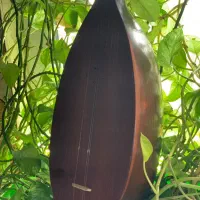 تنبور