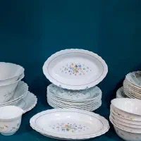 ارکوپال ویکتوریا(معاوضه کالا بکالا)عضوکانالشو