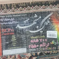 قالی ۱۲ متری دو عدد|فرش|شیروان (خراسان), |دیوار