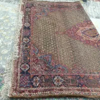 فرش دست باف دوازده متری|فرش|سنقر, |دیوار