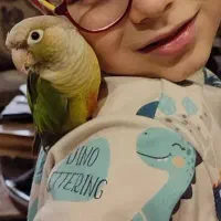 طوطی گرینچیک ۲.۵ ساله با وسایل و قفس