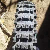 لاستیک گل جنگلی