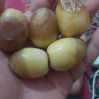 رطب برحی آبادان درجه یک به قیمت عمده