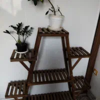 استند گل و گیاه