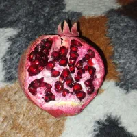 انار درجه ۱ کوهنانی|گل و گیاه طبیعی|کوهنانی, |دیوار