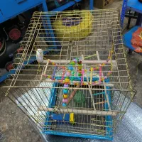 قفس بزرگ فانتزی