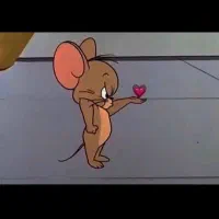 گهواره نوزاد اهدا میشود