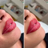 رنگ لایت مش آرایش دائم شیدینگ لب فیبروز بن مژه|خدمات آرایشگری و زیبایی|شیراز, شهرک مطهری|دیوار
