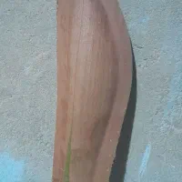 طاره دول نر