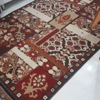 فرش 4 متری نو|فرش|شاهین‌شهر, شهرک گلدیس|دیوار