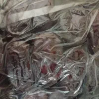 خرما مضافتی