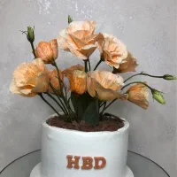 کیک تولد خانگی