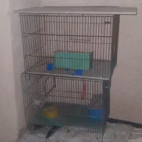 قفس پرنده با وسائل