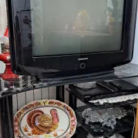 تلویزیون ۲۹ اینچ دی وی دی