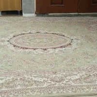 قالی 12متری جفت|فرش|تایباد, |دیوار