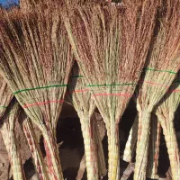 جارو شهری|لوازم نظافت|لاهیجان, قیام|دیوار