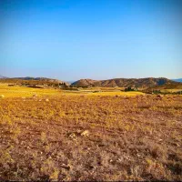 فروش زمین‌ با کاربری کشاورزی