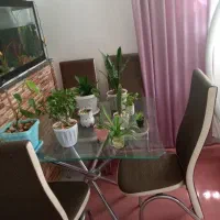 میز صندل همشون سالم