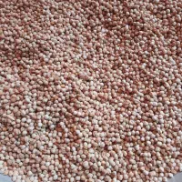 نخود/ حبوبات|خوردنی و آشامیدنی|فارسان, |دیوار