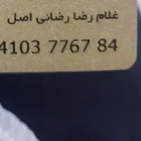 کیف مدارک گم شده