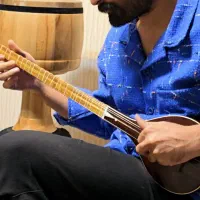 آموزش تخصصی تار و سه تار در آموزشگاه موسیقی سینا