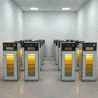 دستگاه جوجه کشی دردانه صنعت (اقساط)