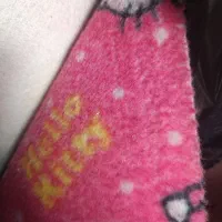 موکت
