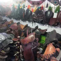 تجهیزات اسب|اسب و تجهیزات اسب‌سواری|صفادشت, |دیوار