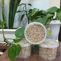 انواع آجیل و تخمه محلی با تفت سنتی|خوردنی و آشامیدنی|قائن, |دیوار