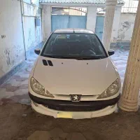 ۲۰۶ اس دی وی