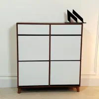 جاکفشی داشبوردی مدل روین پلاس پر فروشترین مدل سال