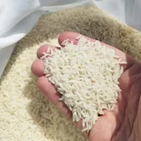 برنج طارم هاشمی