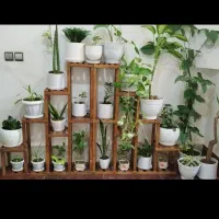 کادویی استند گل پایه شیک و باکلاس|گل و گیاه طبیعی|مشهد, شهید احمدی روشن|دیوار